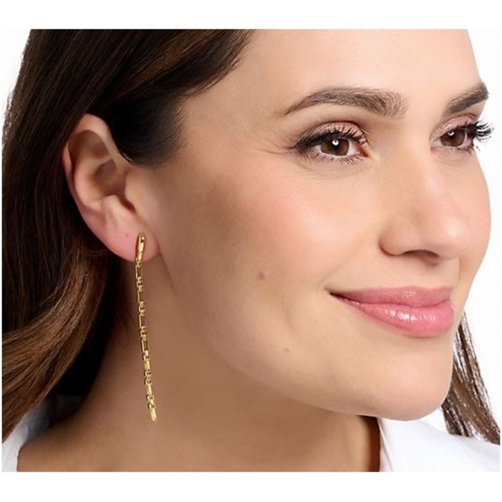 NWT Christian James x Scott Grimes Luciano 3" Chain Earrings / 14k Gold Clad